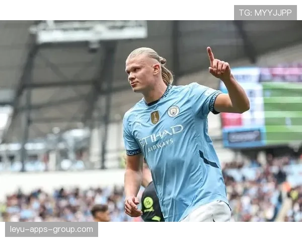 哈兰德点球与禁区表现数据引媒体热议，哈兰德精选